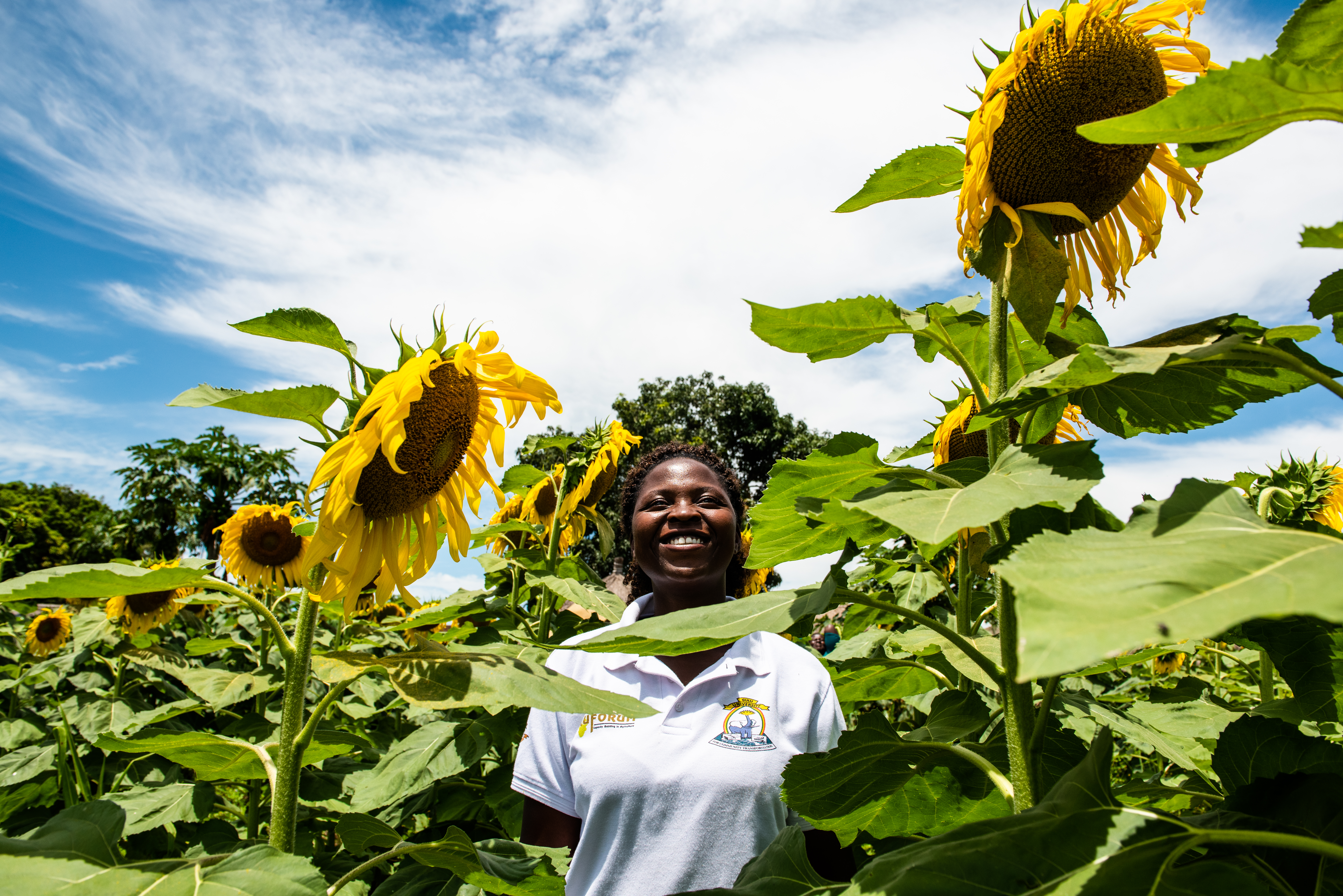 RUFORUM Partnerships